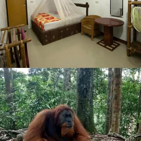 Brown Bamboo Guest House & Trekking Bukit Lawang Dış mekan fotoğraf