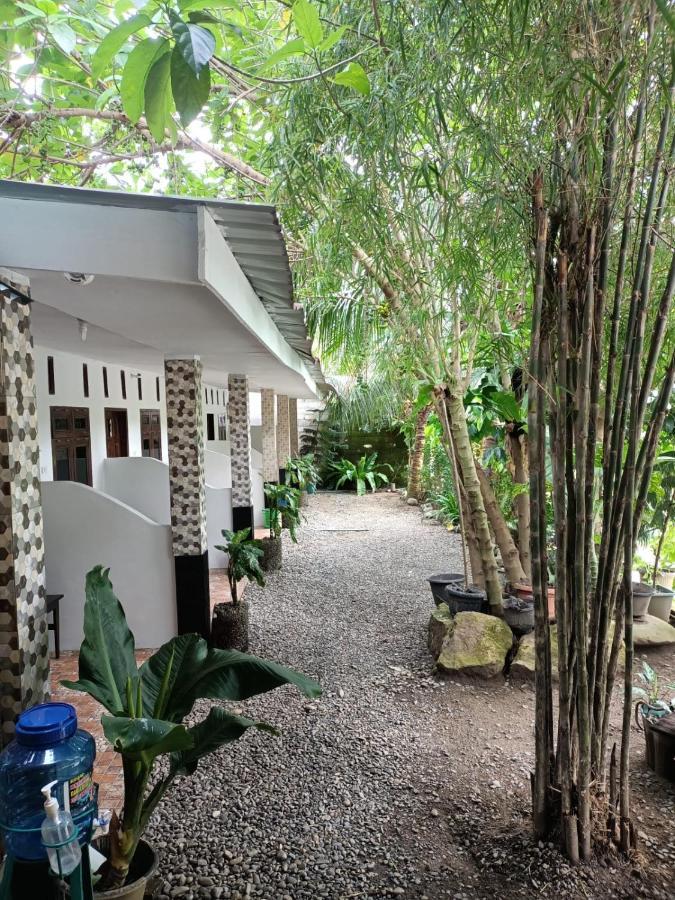 Brown Bamboo Guest House & Trekking Bukit Lawang Dış mekan fotoğraf